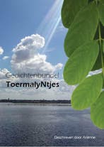 ToermalyNtjes 9789492212061 Ariënne van Tol-van Niedek, Verzenden, Zo goed als nieuw, Ariënne van Tol-van Niedek