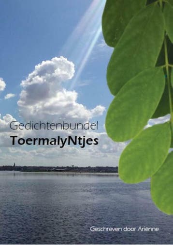 ToermalyNtjes 9789492212061 Ariënne van Tol-van Niedek, Verzenden, Ariënne van Tol-van Niedek