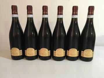 2021 Masciarelli Marina Cvetic, Montepulciano dAbruzzo San, Verzamelen, Nieuw