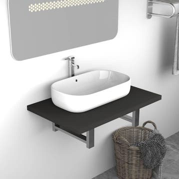 vidaXL Badkamermeubel 60x40x16,3 cm grijs, Huis en Inrichting, Badkamer | Badkamermeubels, Verzenden, Nieuw