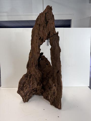 Fine Sinking Wood Selected  FS528 90X46X36 cm, Ophalen of Verzenden, Plant(en), Steen of Hout