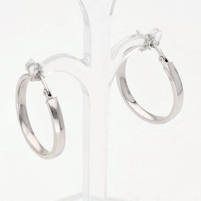 Oorbellen - 14 karaat Witgoud, Handtassen en Accessoires, Oorbellen