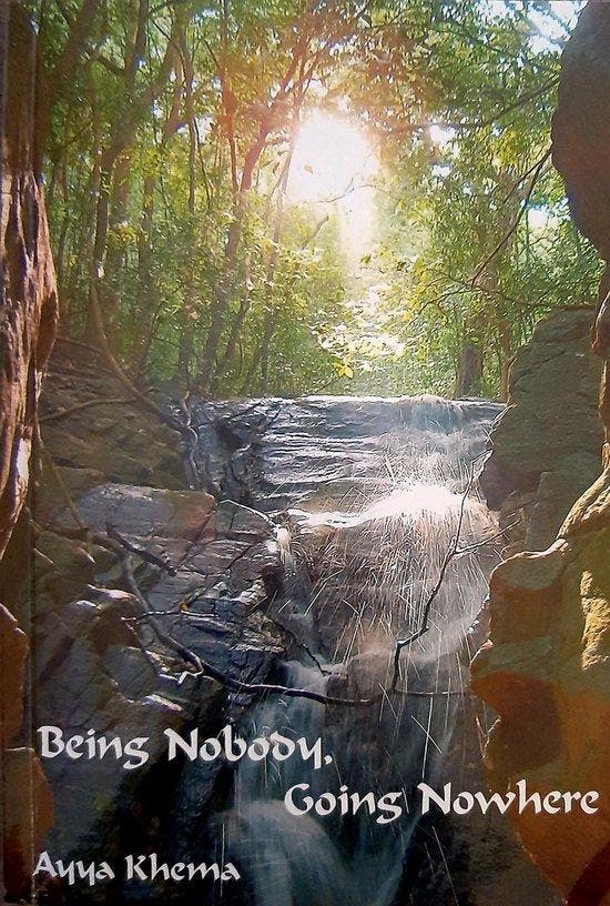 Being Nobody, Going Nowhere 9780861710522 Ayya Khema, Boeken, Taal | Engels, Gelezen, Verzenden