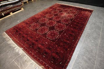Afghan - Tapijt - 308 cm - 200 cm