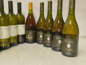 2003 x6 Canonico Di Castellare & 2006 x4, 1994 Cabreo La, Nieuw