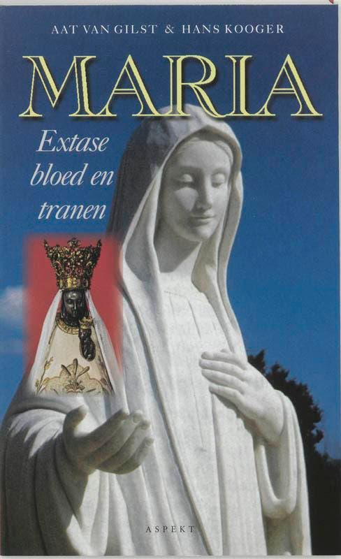 Maria / Cultuurcuriosa 9789075323276 H. Kooger, Livres, Religion & Théologie, Envoi