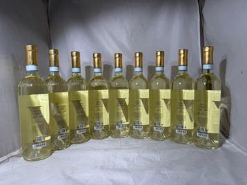 2024 Ceretto Langhe Arneis - Piëmont - 9 Flessen (0.75, Nieuw