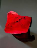 Robijn Echt juweel! Indrukwekkende 73,29 ct Mozambique