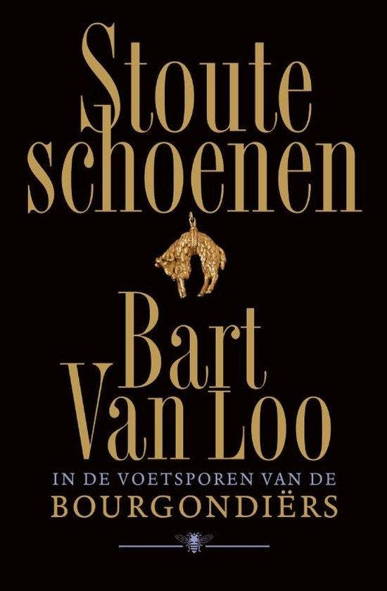 Stoute schoenen 9789403147918 Bart Van Loo, Boeken, Geschiedenis | Wereld, Zo goed als nieuw, Verzenden