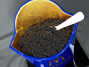 XTC Artist - Mc Caviar 19cm Cobalt Blue