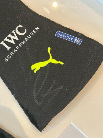 Lewis Hamilton - 2022 - Replica racehandschoenen, Nieuw