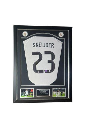 Real Madrid - Europese voetbal competitie - Wesley Sneijder, Nieuw