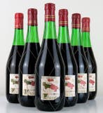 1969 Bodegas Campo Viejo - Rioja Reserva - 6 Flessen (0.75, Nieuw