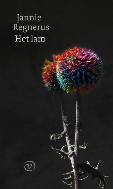 Het lam 9789028280946 Jannie Regnerus, Boeken, Romans, Zo goed als nieuw, Verzenden
