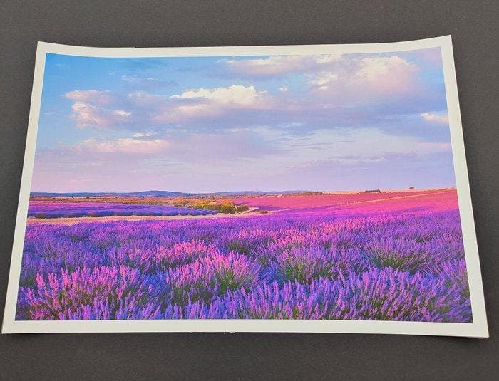 Viet Ha Tran - Song of purple I, Antiek en Kunst, Kunst | Designobjecten