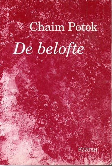 De belofte 9789062914159 Chaim Potok, Verzenden, Gelezen, Chaim Potok