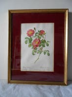 Wanddecoratie (3) - Frankrijk - 3 vintage kaders bloemen