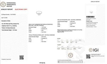Ring - 18 karaat Witgoud - 1.33ct. tw. Diamant (Natuurlijk), Nieuw