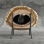 Adembenemende plak versteende palmwortel op een aangepaste