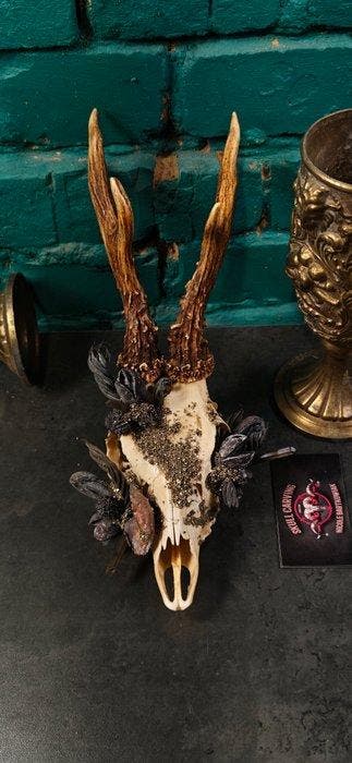Ree Schedel - Caproleus caproleus - 25 cm - 12 cm - 12 cm -