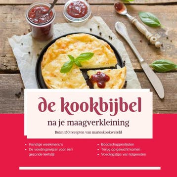 de Kookbijbel na je maagverkleining 9789090318097, Boeken, Verzenden, Gelezen, Marie josee Koks