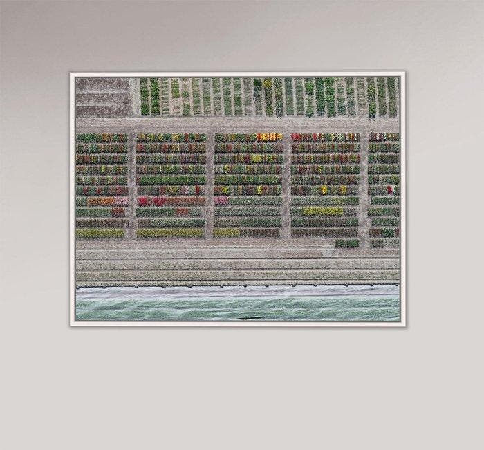 Bernhard Lang - AV_Tulip_Fields_008 XXL, Antiquités & Art, Art | Objets design