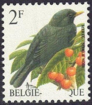 België 1992 - 2Fr.  merel  met afwezigheid van een groot, Gestempeld