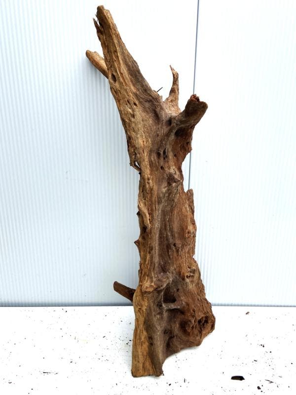 Osaka XL99 uniek aquarium decoratie hout  120x40x40cm, Animaux & Accessoires, Poissons | Aquariums & Accessoires, Enlèvement ou Envoi