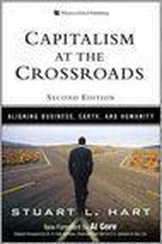 Capitalism at the Crossroads 9780136134398 Stuart L. Hart, Boeken, Taal | Engels, Gelezen, Verzenden