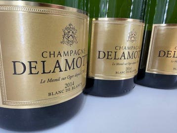 2014 Delamotte, Brut Blanc de Blancs Millésimé - Champagne, Nieuw