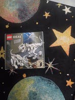 Lego Set - 21320 - Ideas (CUUSOO) - Dinosaur Fossils