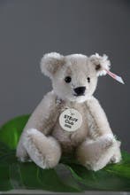Steiff Clubgeschenk 2005 in originele doos - Teddybeer -