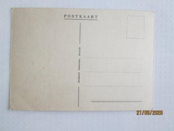 België - Ansichtkaart (1) - 1951-1955