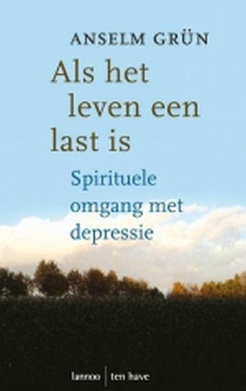 Als het leven een last is 9789059951419 Anselm Grün, Verzenden, Anselm Grün