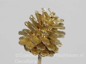 Dennenappels op draad/stick grootverpakking goud doos ca., Nieuw