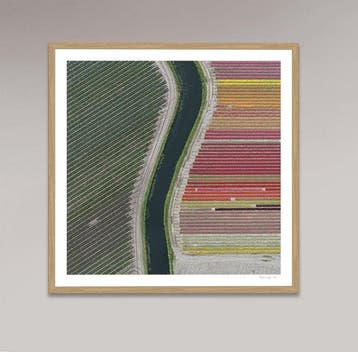 Bernhard Lang - AV_Tulip_Fields_027 XL