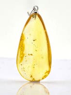 Helder honingamber ketting – Behouden midge en