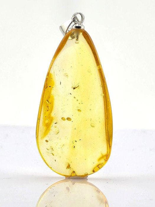 Helder honingamber ketting – Behouden midge en, Antiquités & Art, Curiosités & Brocante