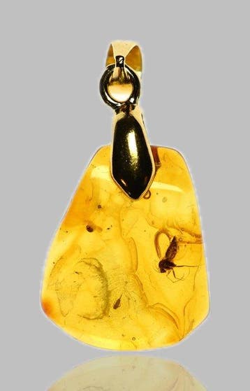 Pendentif en ambre baltique plaqué or — avec une inclusion