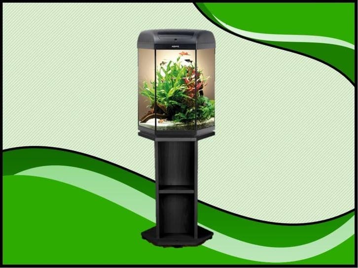 Hexa 60 aquarium set compleet inclusief meubel, Animaux & Accessoires, Poissons | Aquariums & Accessoires, Envoi