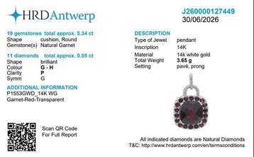 Hanger - 14 karaat Witgoud - 5.34ct. tw. Granaat - Diamant -