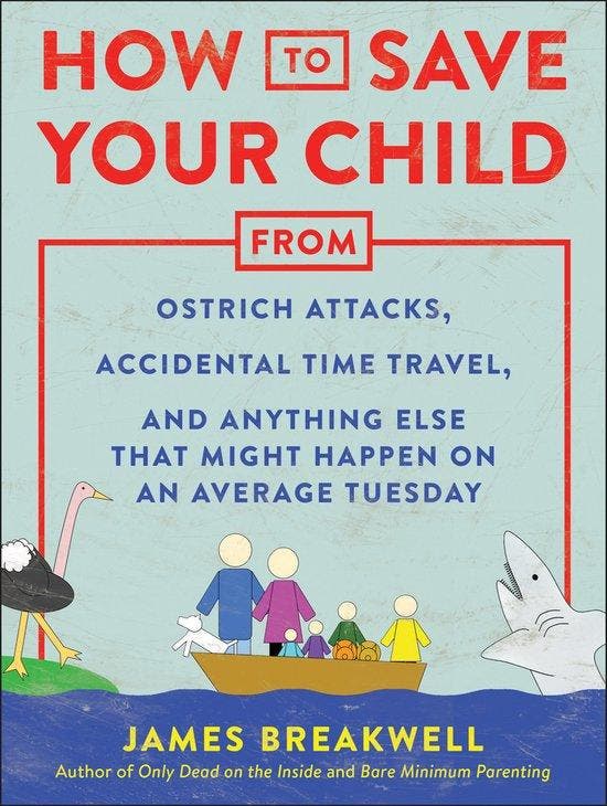 How to Save Your Child from Ostrich Attacks, Accidental Time, Boeken, Taal | Engels, Zo goed als nieuw, Verzenden