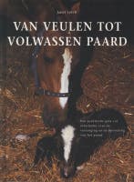 Van veulen tot volwassen paard 9789059203624 J. Lorch, Verzenden, Gelezen, J. Lorch