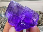 Fluoriet Topkleur - Hoogte: 55 mm - Breedte: 42 mm- 107 g -, Verzamelen