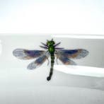 Krautheim & Adelberg - Eetservies voor 12 (15) - Serving