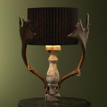 Damhert Geweilamp Taxidermie Opgezette Dieren By Max, Ophalen of Verzenden, Nieuw, Wild dier, Opgezet dier