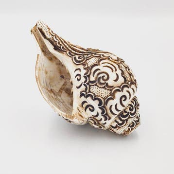 Oud-Tibetaans of Nepalees Conchschaal Ritueel talisman met, Antiek en Kunst