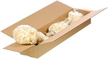 Hydrangea preserved gepreserveerde hortensia sb bleached, Nieuw