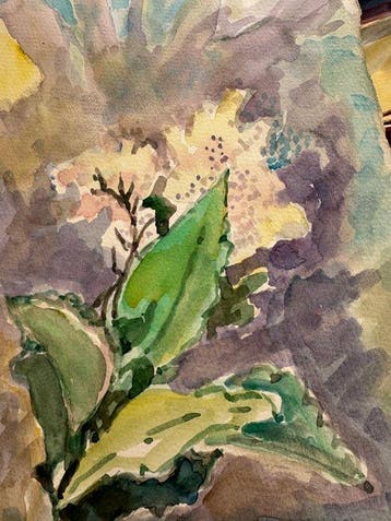 Claire Szilard (1920-2017) - Botanical Abstraction