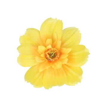 Haarspeld Duckklem 12cm – Haarbloem - Geel, Handtassen en Accessoires, Nieuw